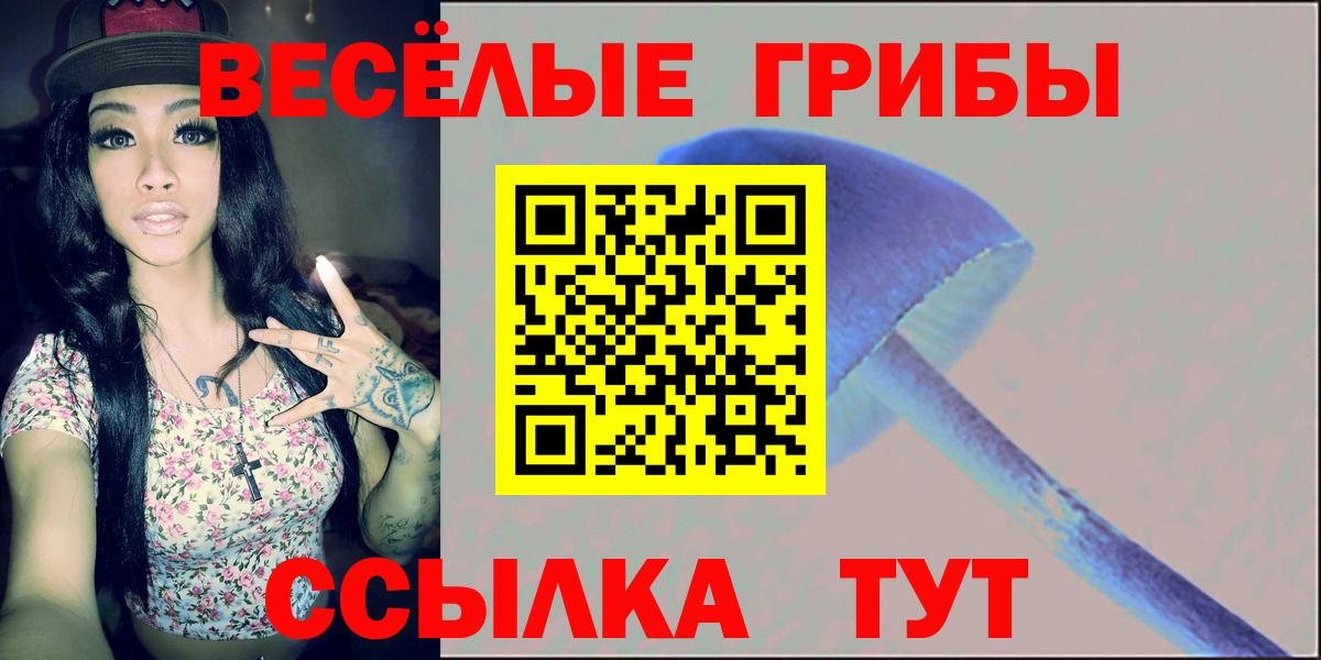 Асино  купить закладку  Галлюциногенные грибы Magic Shrooms  Вход с VPN  Галлюциногенные грибы мицелий 
